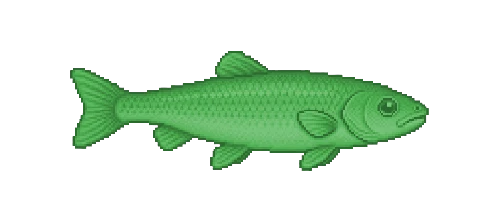Tench