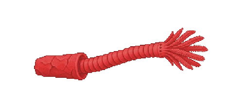 Pompeii Worm
