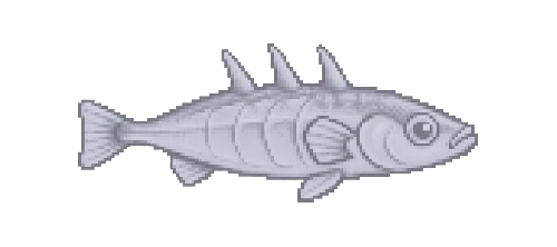 Three-Spined Stickleback