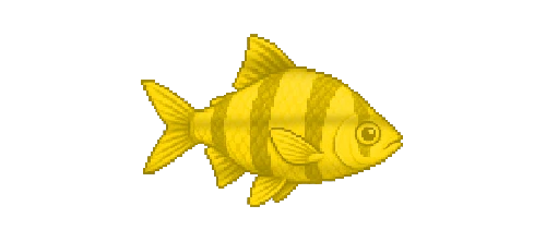 Tiger Barb