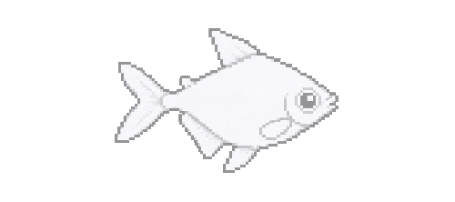 Troglobitic Tetra