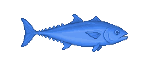 Bluefin Tuna