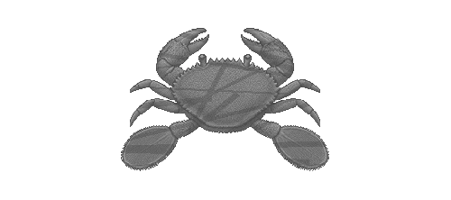 Velvet Swimming Crab
