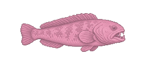 Vent Eelpout