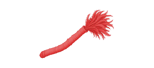 Vent Tubeworm