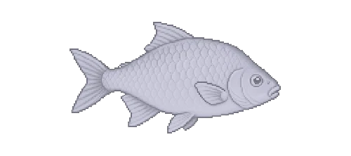 Vimba Bream