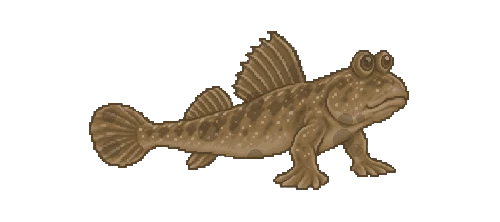 Volcanic Mudskipper