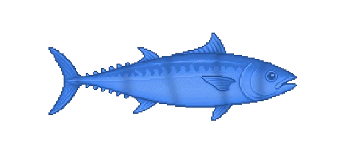 Wahoo