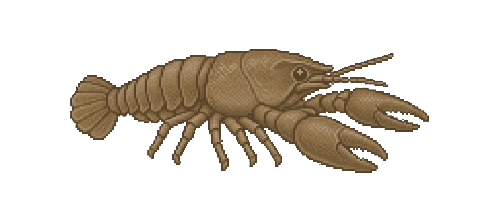 White-Clawed Crayfish