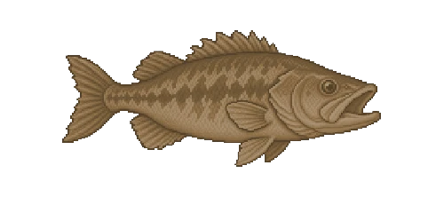 Wreckfish