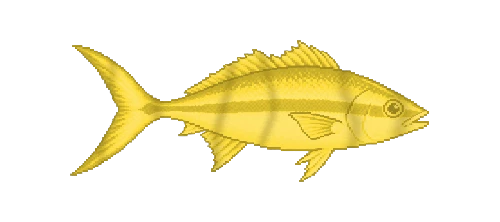 Yellowtail Snapper